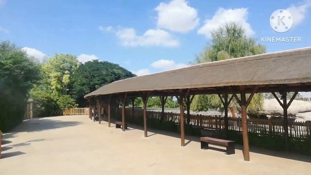 Dubai safari Park | Dubai Zoo |Dubai safari Park tickets | A complete tour 😍 смотреть онлайн