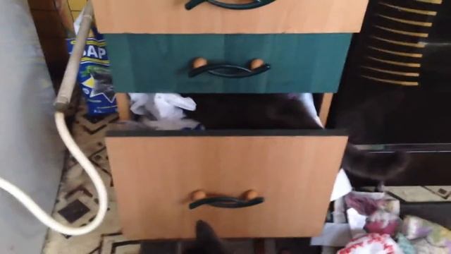 Смешные коты на кухне. Ржака. Смотреть до конца