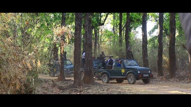 KANHA NATIONAL PARK FULL SAFARI VLOG #18 смотреть онлайн