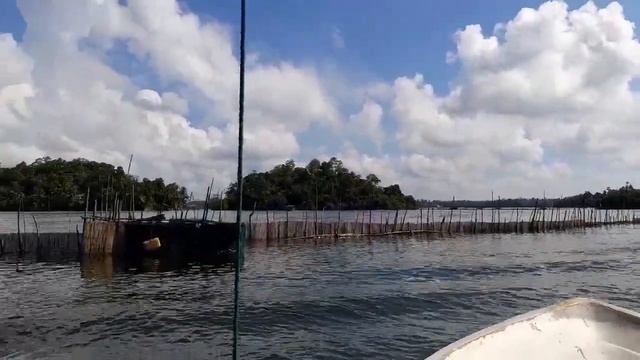 Madu river boat safari смотреть онлайн