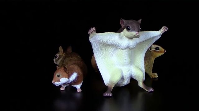 Safari Ltd. ® Incredible Creatures ® Unglaubliche Kreaturen - 360° смотреть онлайн