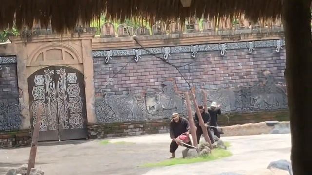 Tiger Show and Elephant Show in Bali Safari Marine Park смотреть онлайн