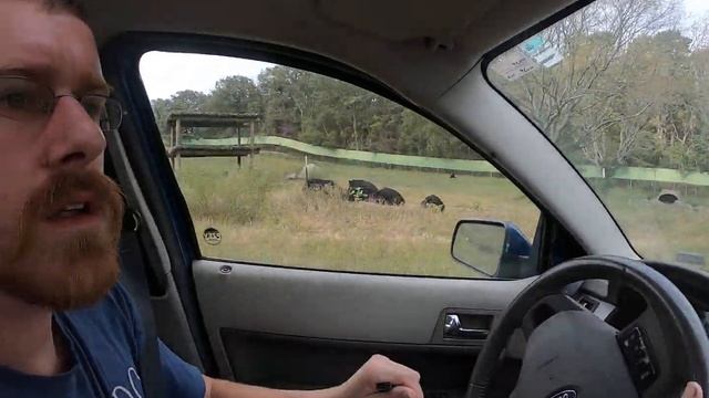 six flags great adventure safari 15/19 смотреть онлайн