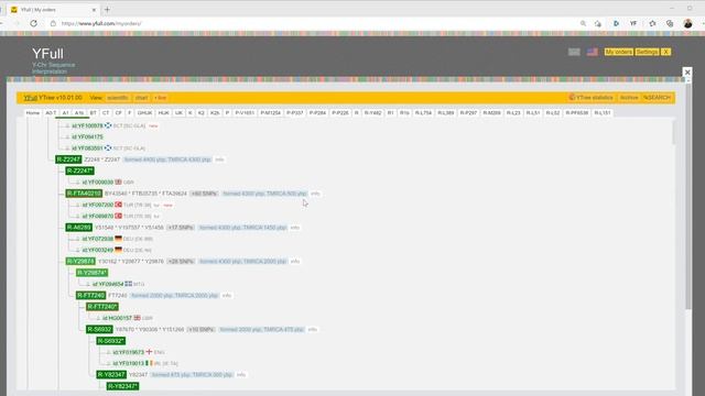 YFull Helper - Chrome/Edge/Firefox Extension For Genetic Genealogists