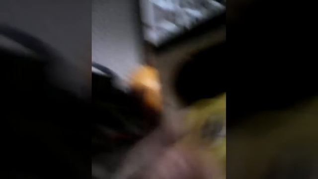 Огромный прикольныц домик и мо,я сестра смотреть онлайн