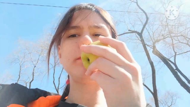 7 мая - поездка в Благовещенск