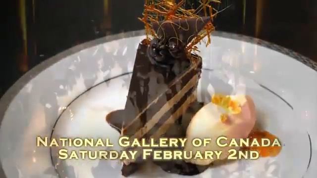 Viennese Opera Ball Ottawa смотреть онлайн