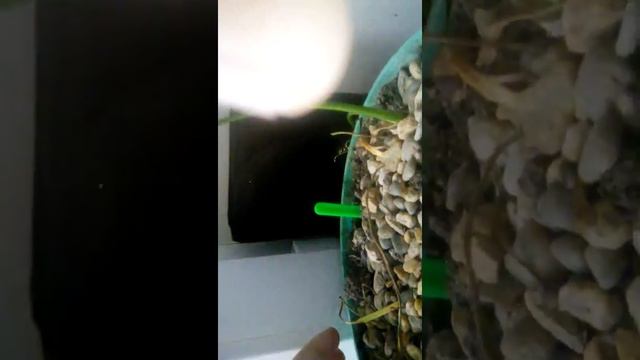 ВЛОГ Обзор кухни и другое чем занятся не знаю? смотреть онлайн
