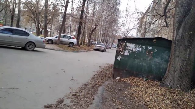 Новосибирск 22окт 2020 ЖЭУ18 и ГЖИ не считают нужным очищать нашу среду обитания смотреть онлайн