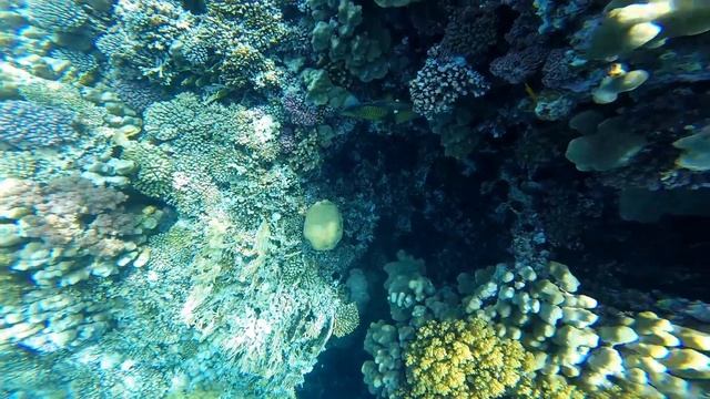 Marsa Alam 2014 смотреть онлайн