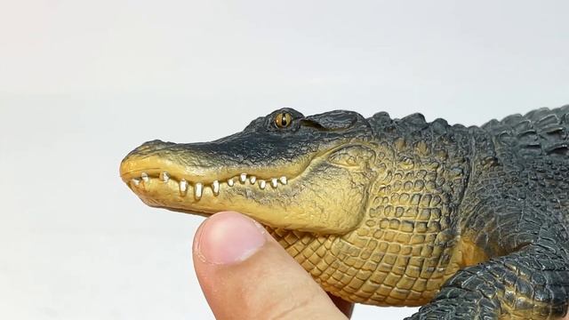 REVIEW SAFARI LTD AMERICAN ALLIGATOR TOY- ĐỒ CHƠI MÔ HÌNH CÁ SẤU MỸ HÃNG SAFARI SIÊU ĐẸP смотреть онлайн