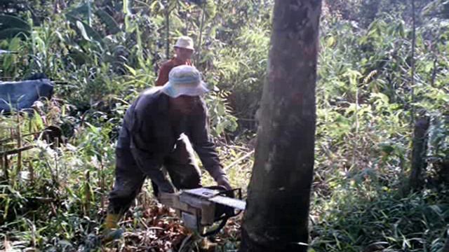kenangan kampung gotong royong dan safari 2007 смотреть онлайн