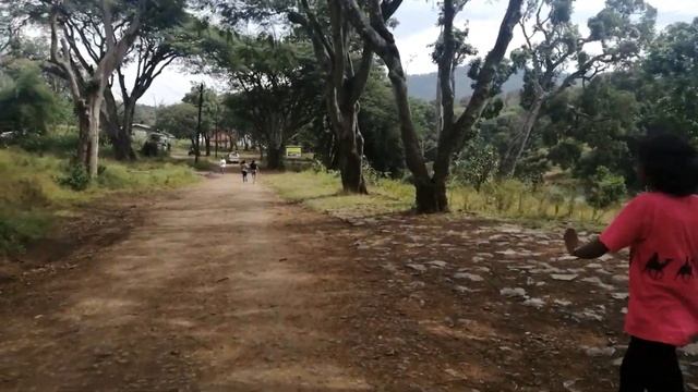 Appooppanthaadi | Buddy Meet up | Bandipur | Tiger Safari смотреть онлайн