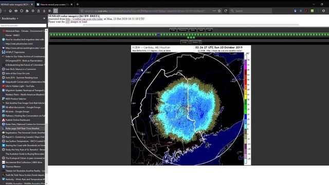Radar page RAP Real Time Weather Mozilla Firefox 2019 10 21 15 51 12 смотреть онлайн