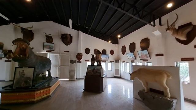 Safari Gallery Baluarte Vigan City смотреть онлайн