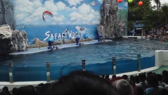 safari world show смотреть онлайн