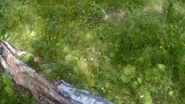 УАЗ Форвард Сафари 510 смотреть онлайн