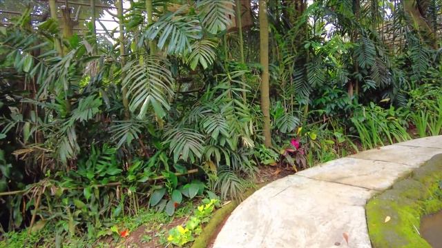 Petualangan di Bird Park Royal Safari Garden ~ Taman Burung Aviary Super Besar dan Lengkap Banget смотреть онлайн