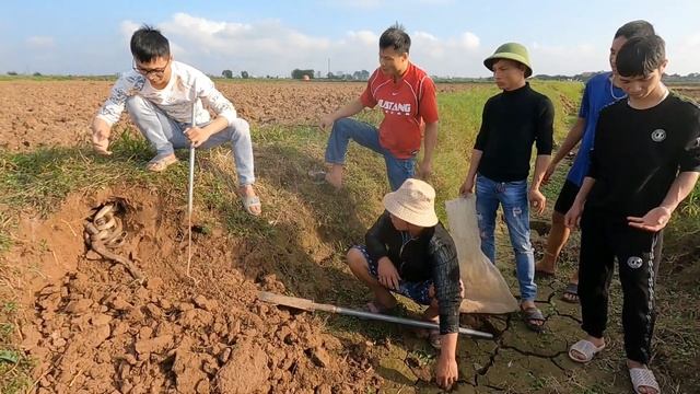 5 brave young men discovered a giant snake nest смотреть онлайн