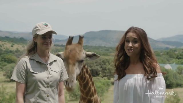 Love on Safari - Hallmark Channel смотреть онлайн