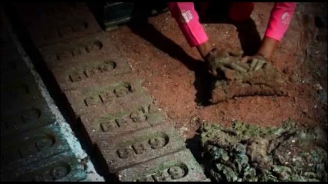 Кошмар похищения Шафии закончился, когда она обнаружила, что дверь в ее грубую тюрьму не заперта. смотреть онлайн