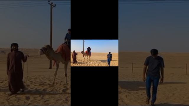 🏜DeSeRt SaFaRi 🏜 @Abudhabi #desert #desertsafari #familyvlog #familyvlogs #abudhabivlog смотреть онлайн