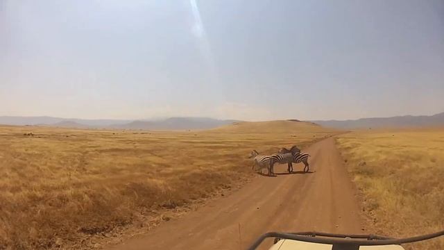 Tanzanie - Circuit Nord смотреть онлайн