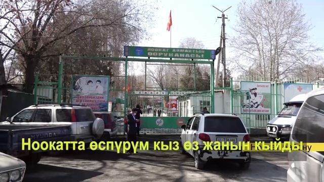 ЖАМУда ЖҮЗДӨН АШУУН ӨЗБЕКСТАНДЫК СТУДЕНТ ОКУУДАН ЧЫГАРЫЛДЫ смотреть онлайн