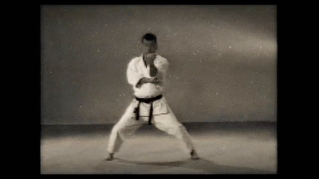 8 Каратэ. Наследие Накаямы. Ката Текки Сандан