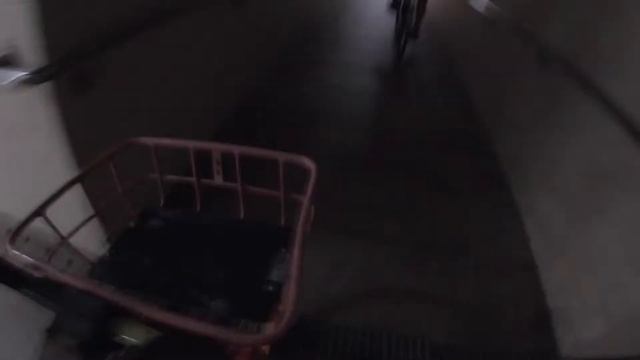 珠海观光篇-海天驿站水拥坑还有骑单车去日月贝Bike riding and night seeing of Zhuhai Opera House смотреть онлайн