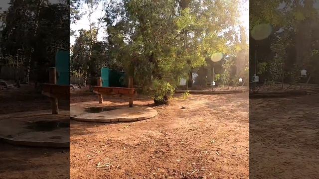 Safari. Tel Aviv. 28.10.19 смотреть онлайн