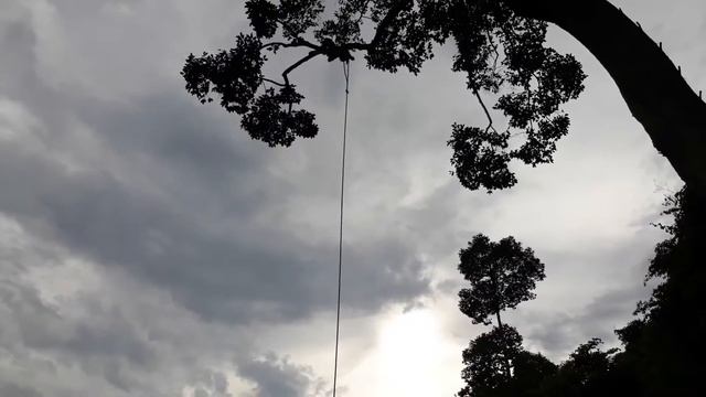 Brave young man jump from a high tree into Yak Lom lake!! смотреть онлайн