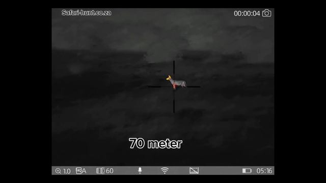 Thermtec Ares 660 dual FOV thermal rifle scope Jackal hunting смотреть онлайн