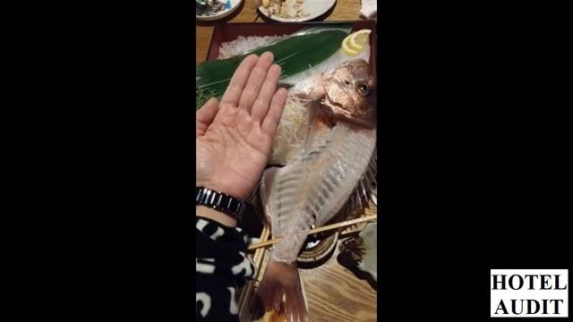 Япония Осака Chuo Fishing Restaurant Zauo Namba Honten смотреть онлайн