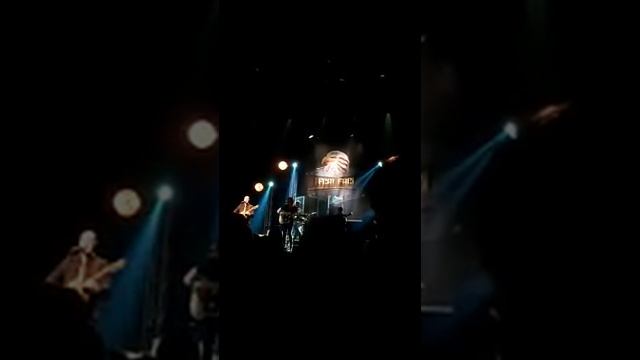 Illegal eagles cork opera house смотреть онлайн
