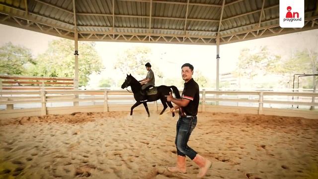 ทำไมเราเลือกเรียนขี่ม้าที่ BRAVE HORSE? смотреть онлайн
