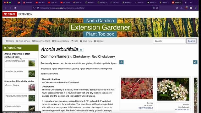 Native Plant Gardening Tools and Resources смотреть онлайн