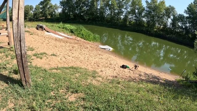 СОМ НА CF ARION 742SULS/А ТАКОЕ ВОЗМОЖНО?!?/МИКРОДЖИГ