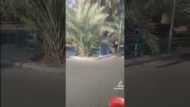 2019йил Хаж сафари смотреть онлайн