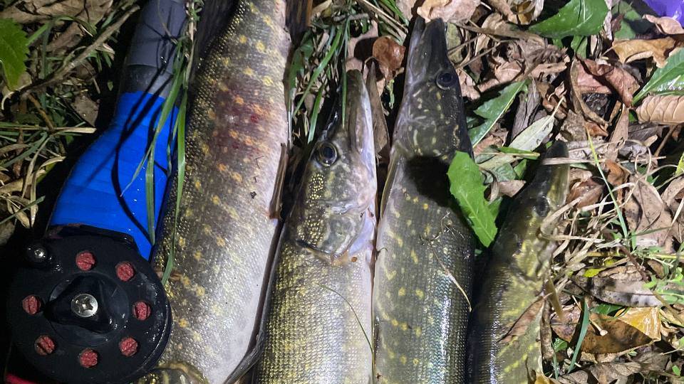 Подводная охота - щука смотреть онлайн