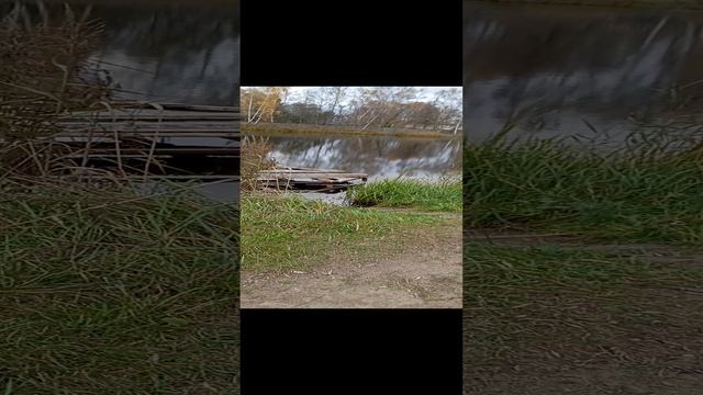 Купель на Ключевом озере смотреть онлайн