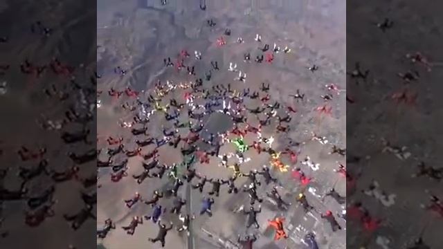 ONLY BRAVE PEOPLE CAN DO THIS смотреть онлайн
