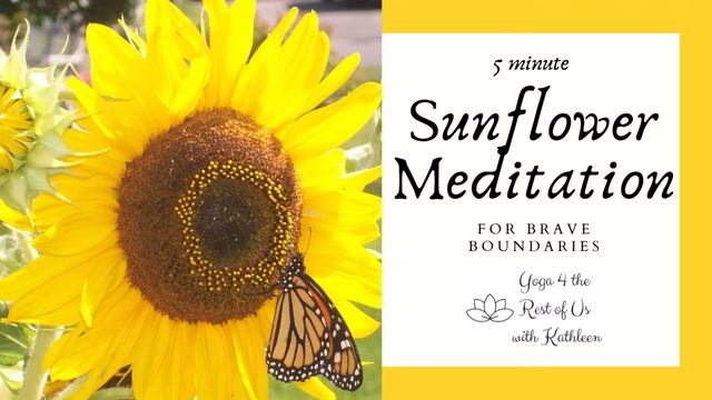 Sunflower Meditation for Brave Boundaries смотреть онлайн