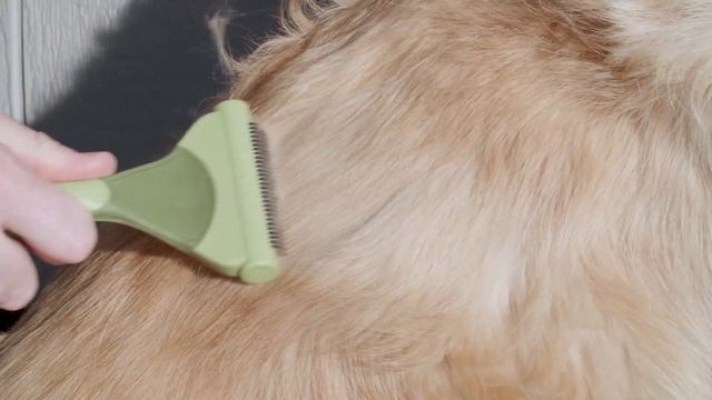 Safari® Shed Magic®: De-Shedding Tool for Dogs смотреть онлайн