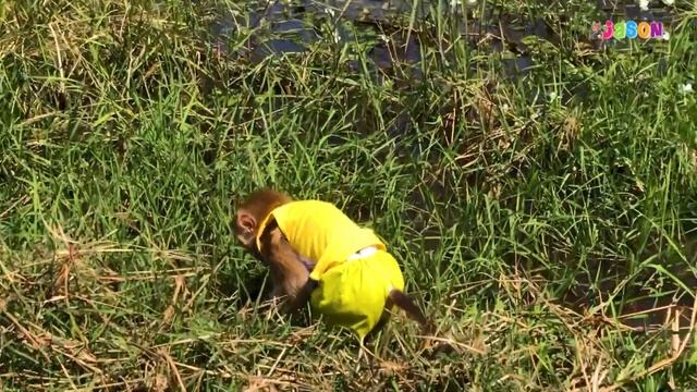 Brave Jason Vividly Doubt To Swim Find Snail Ignore Mom Worry смотреть онлайн