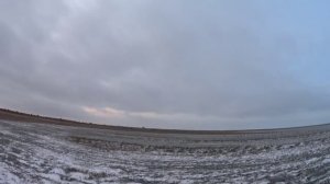 Охота на утку на Маныче