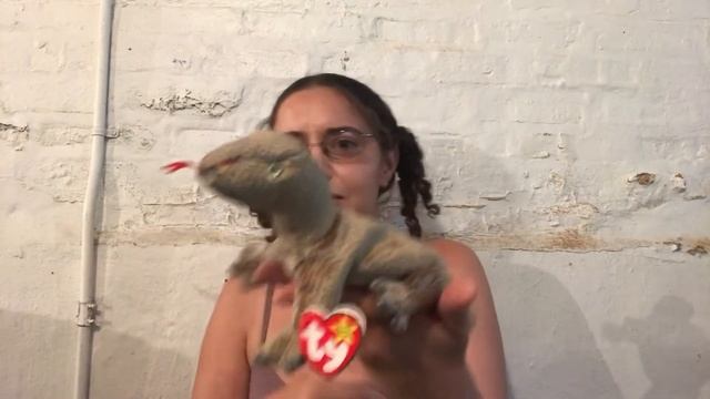 Child At Heart - Beanie Babies Reptiles and Mythical Creatures смотреть онлайн