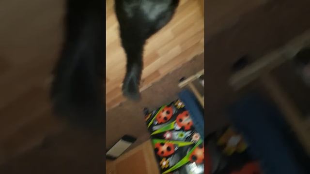 Оникс и закрытая дверь... смотреть онлайн