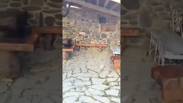 Safari House 7 смотреть онлайн