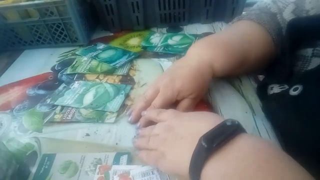 Посев капусты